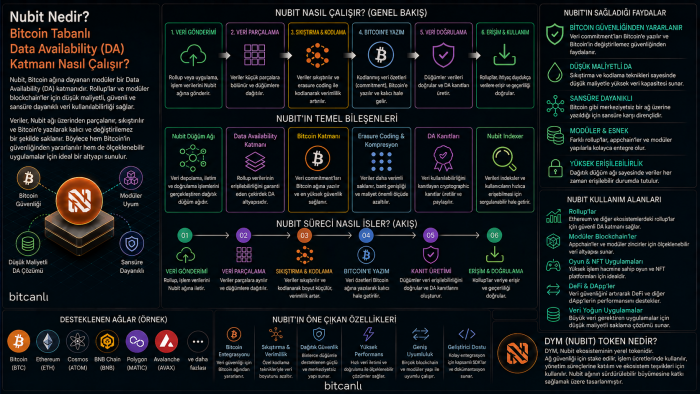 Nubit Nedir? Bitcoin Tabanlı Data Availability (DA) Katmanı Nasıl Çalışır?
